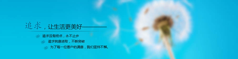 检漏仪 合肥元旗机电有限公司